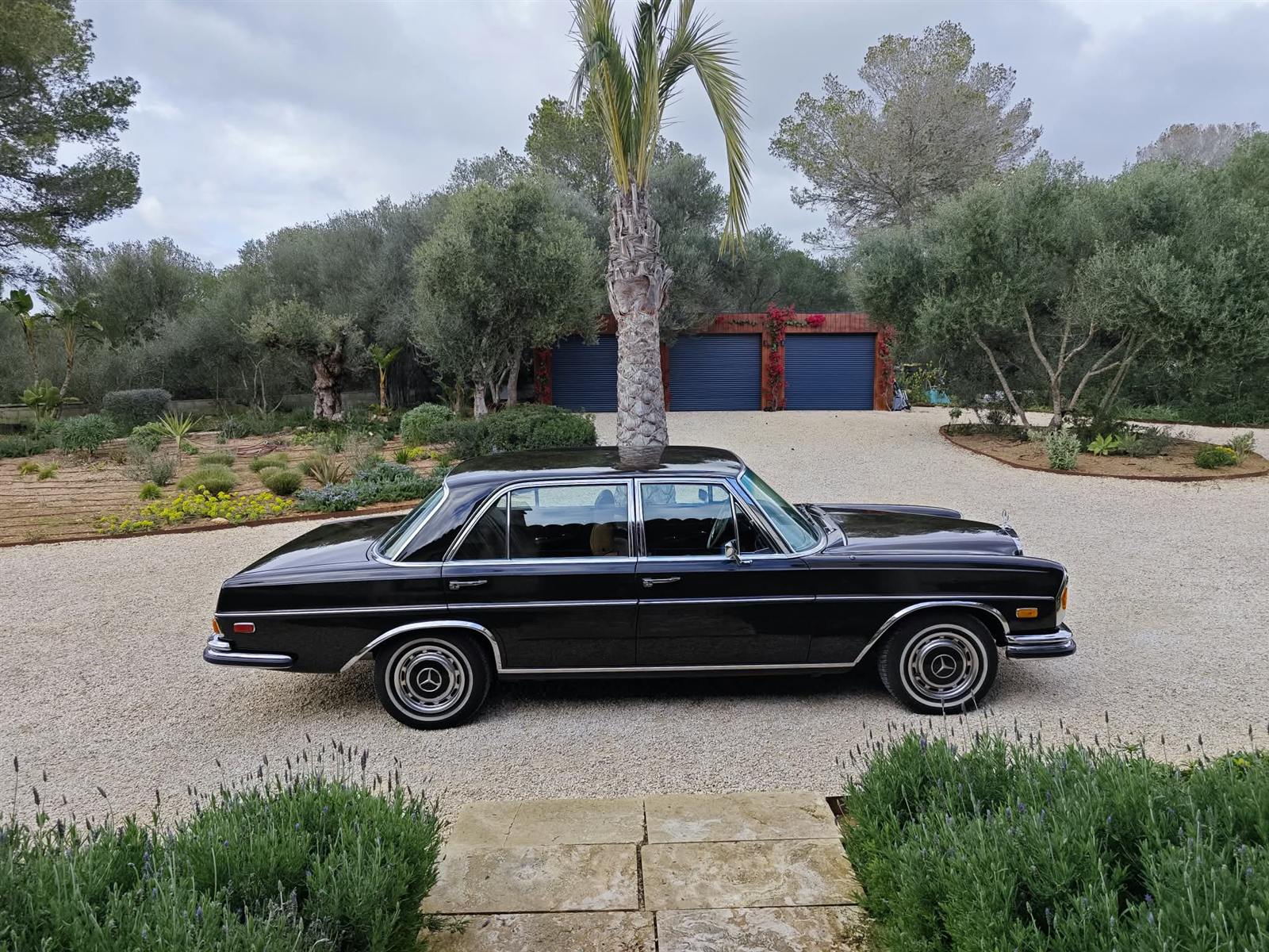 Mercedes 300 SEL photo 26